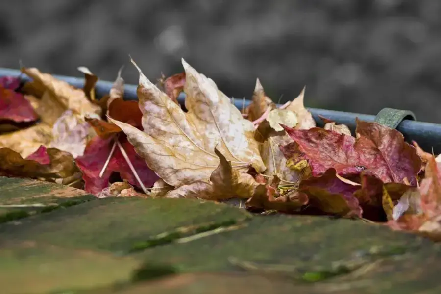 Residential gutter maintenance detail